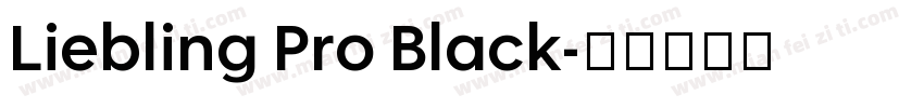 Liebling Pro Black字体转换